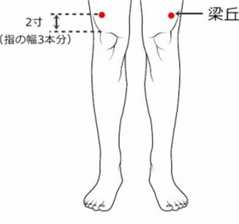 胃の調子を整えるツボ、梁丘 （りゅうきゅう）｜富津市のSANRI鍼灸整骨院